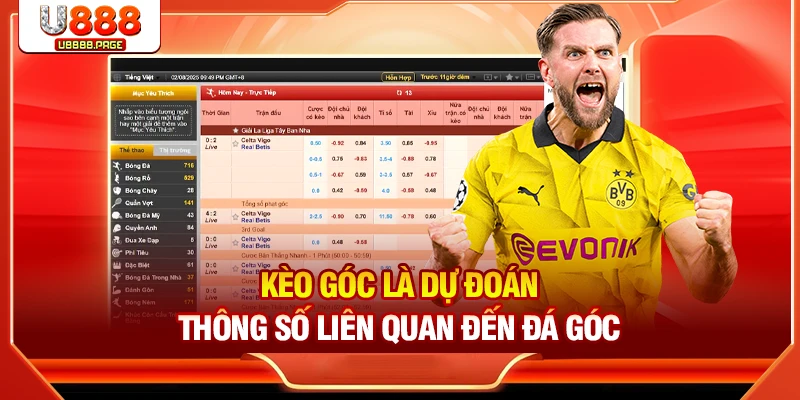 Kèo góc là dự đoán thông số liên quan đến đá góc