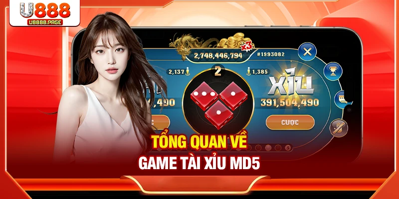 Tổng quan về game Tài Xỉu MD5